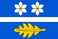 Flag of Rokytá