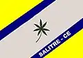 Flag of Salitre