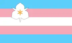 The Sego Visibility Flag, based on the transgender pride flag