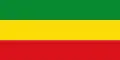 Flag of Tarazá