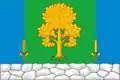 Flag of Topkinsky District