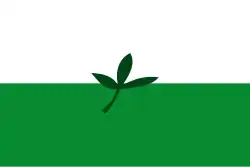 Flag of the Department of Vichada