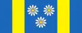 Flag of Velika Polana