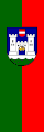 Flag of Wels