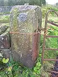 The Flashwood stile.