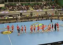 The men's team celebrating a goal in 2024–25 Champions Cup finals