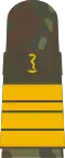 Mounting loop