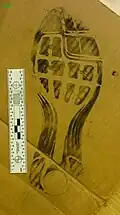 Latent footwear impression after treatment with fingerprint powder