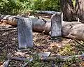 Graves in the old pioneer cemetery