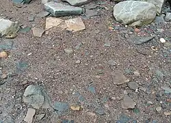Sandy and silty material on Fossil Beach, Sedbury, Gloucestershire, containing tiny fossil fragments.