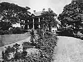 Stead House