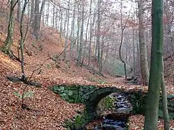Frederick valley