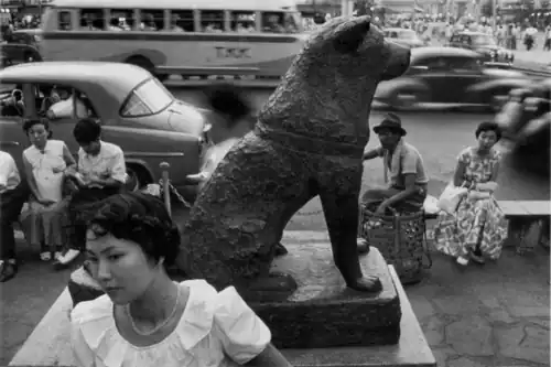 Statue of a dog