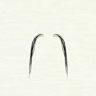 Fu Manchu moustache