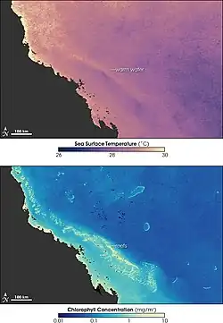 Image 16Sea temperature and bleaching of the Great Barrier Reef (from Environmental threats to the Great Barrier Reef)