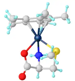 Cp*Ir(κ3-methionine)+