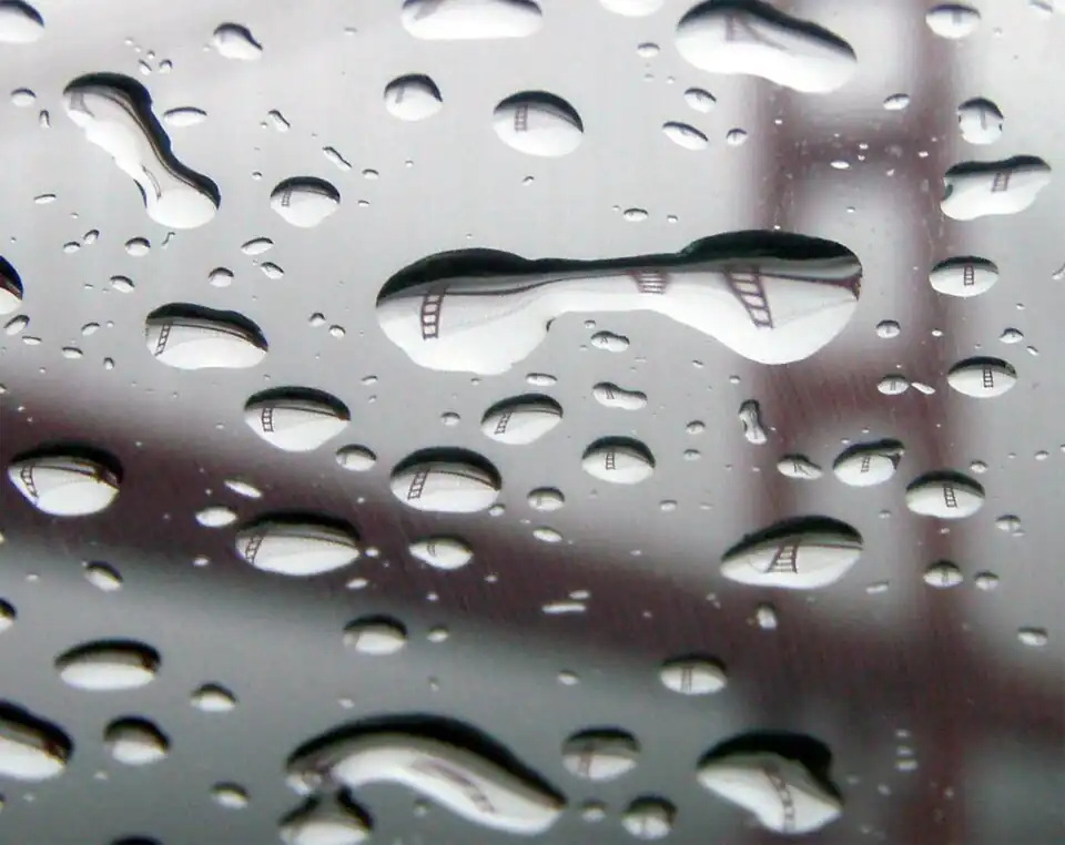 Image 25Refraction in raindrops, by Mila Zinkova (from Wikipedia:Featured pictures/Sciences/Others)