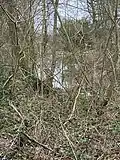 Moated site, Gannow Green