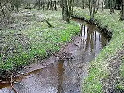 The Geeste near its source