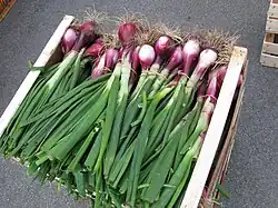 Wooden boxes for bulk produce