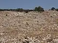 General view of ruins of Jarash