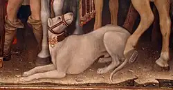 A white alaunt wearing a muzzle.