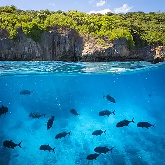 Coral reefs built up over volcanic basalt seamount