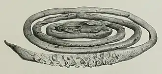 #29 (26/10/1873), The 19-foot (5.8 m) tentacle of the first Portugal Cove specimen, hacked off a live animal on 26 October 1873 (Owen, 1881:pl. 33 fig. 2; see very similar but horizontally flipped woodcut from Harvey, 1874a:68, fig.)
