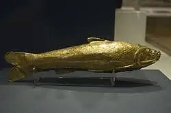 The gold fish vessel