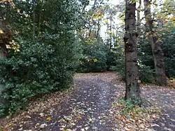 Gong Hill