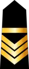 Adjudant (Arabic: وكيل, romanized:&nbsp;Wakil) (Tunisian Army)[25]