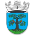 Coat of arms of Municipality of Sevnica