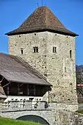 Grynau tower and the 1907 barn