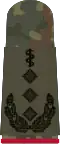 Oberst­arzt i.G.