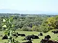 Panorama of Makubetsu