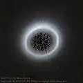 JWST NIRCam also directly imaged the disk.