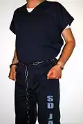 H-style restraint