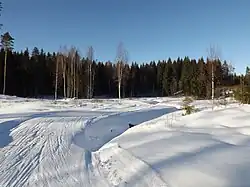 Haanja ski marathon track in Hotõmäe