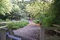 Great Wood
