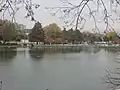 Lower Lake with Potomac Towers in the background