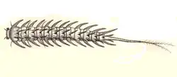 drawing, refer to adjacent text