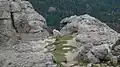 A Mountain goat near the top of Black Elk Peak