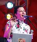 Heimatsound-Festival 2014 Ganes (5)