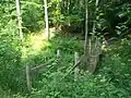 Suspension Bridge on the Schwinzer Hellberg-Tongrube educational path