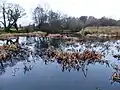 Herstmonceux Park