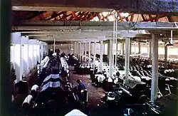 Cotton-spinning machinery