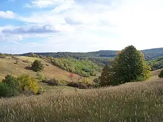 Hills at Mecseknádasd
