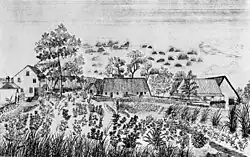 thatched houses and a garden