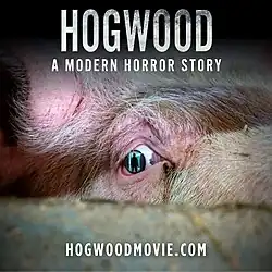 film poster.