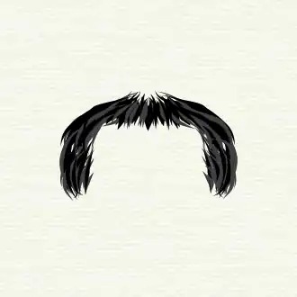 Horseshoe moustache
